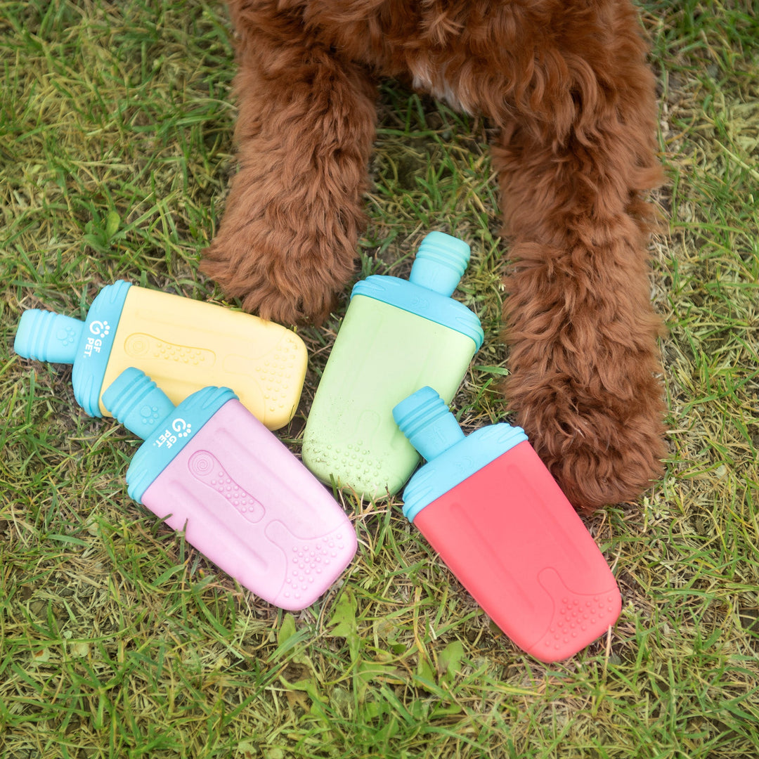 Ice Toy Display 24pcs Mix by GF Pet