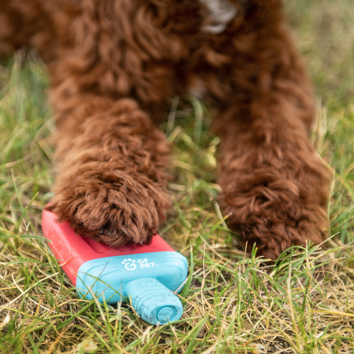 Ice Toy Display 24pcs Mix by GF Pet