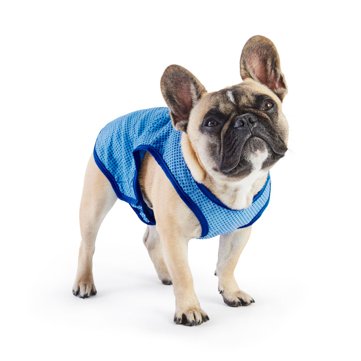 Elasto-Fit Ice Vest - Blue by GF Pet