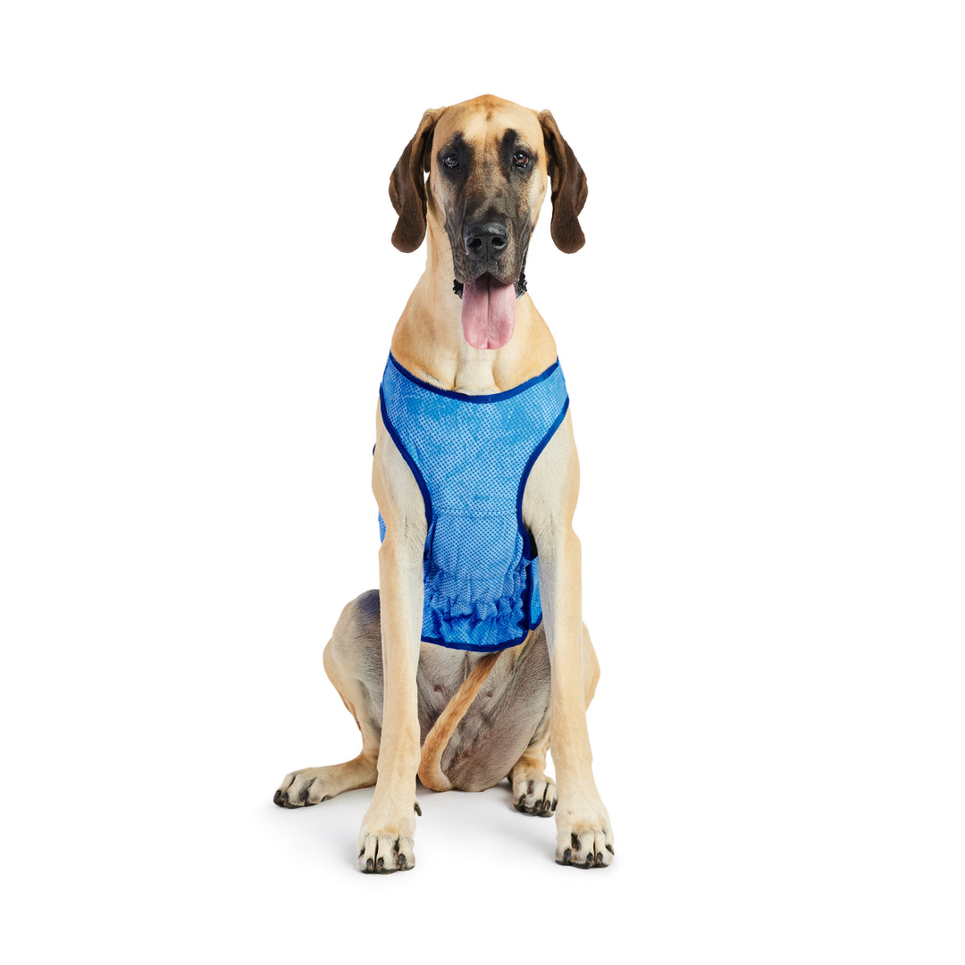 Elasto-Fit Ice Vest - Blue by GF Pet