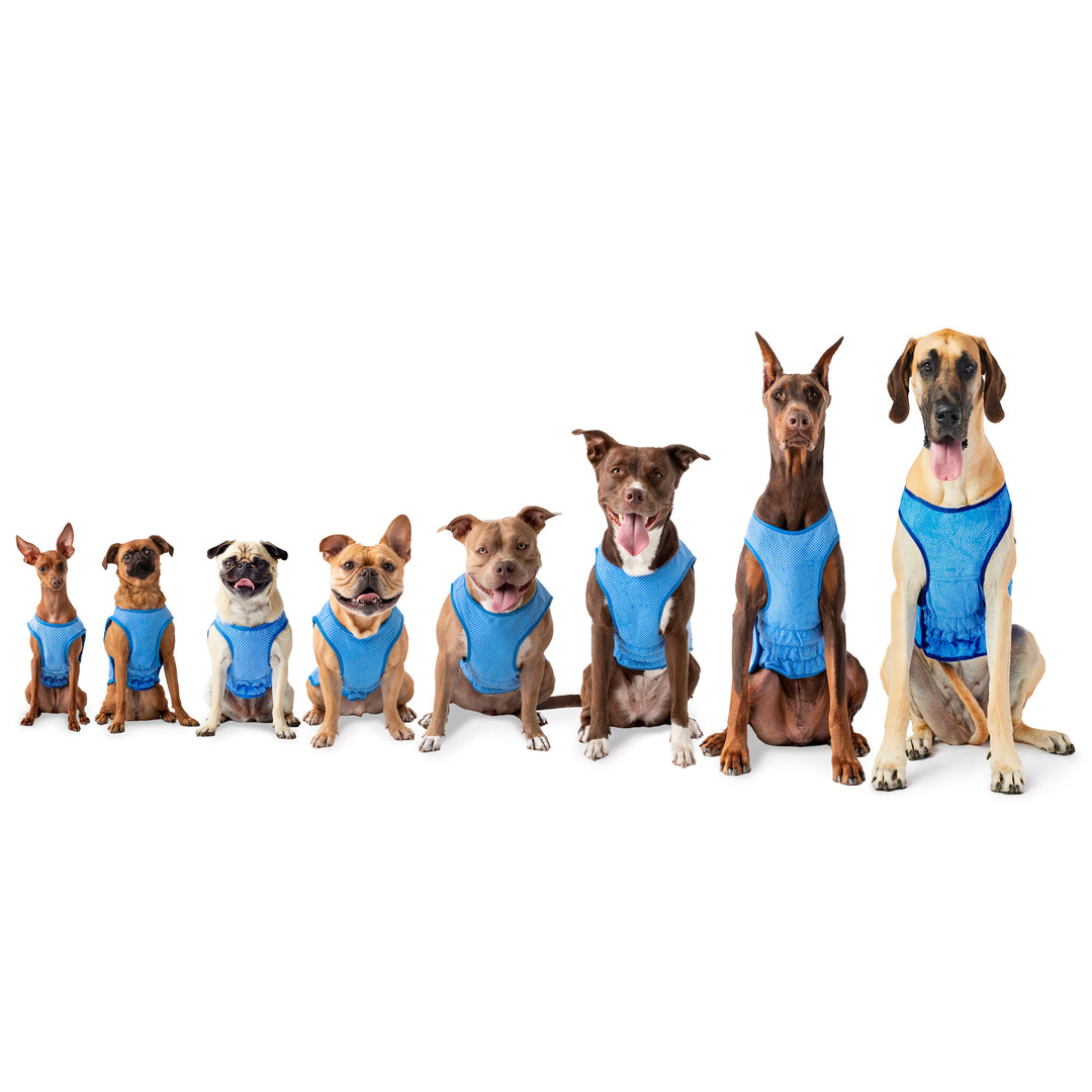 Elasto-Fit Ice Vest - Blue by GF Pet
