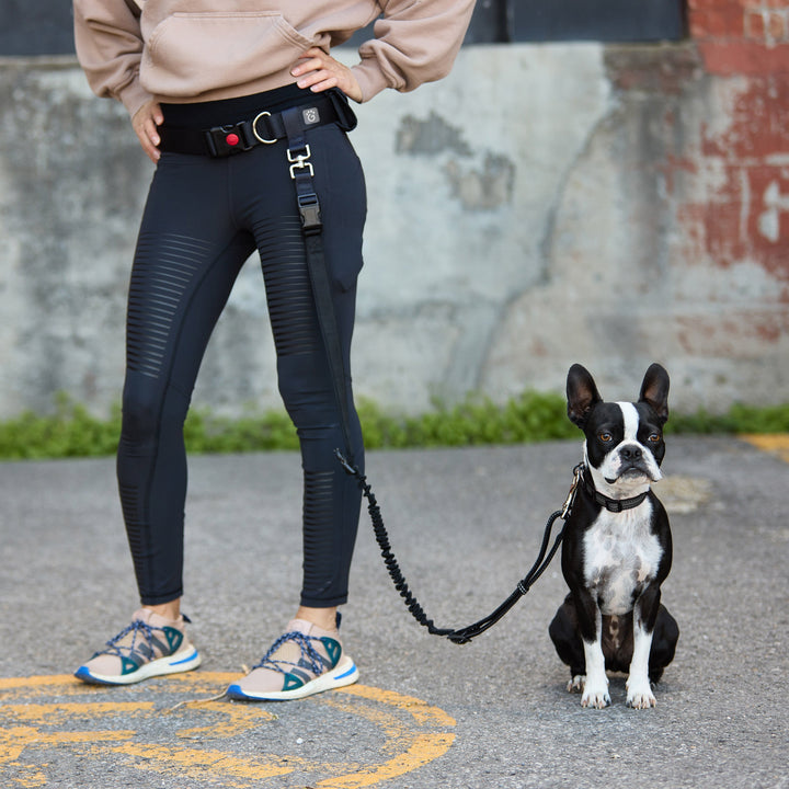Waist Belt & Bungee Leash by GF Pet