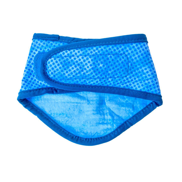 ICE BAND - Dog Cooling Bandana - Blue by GF Pet