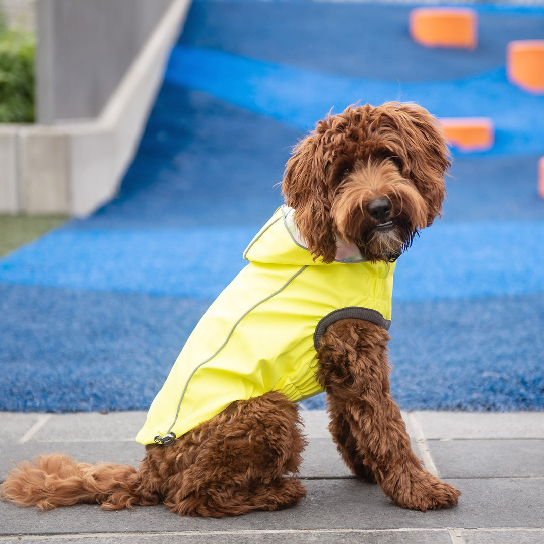 Reversible Raincoat - Neon Yellow with Tie Dye by GF Pet