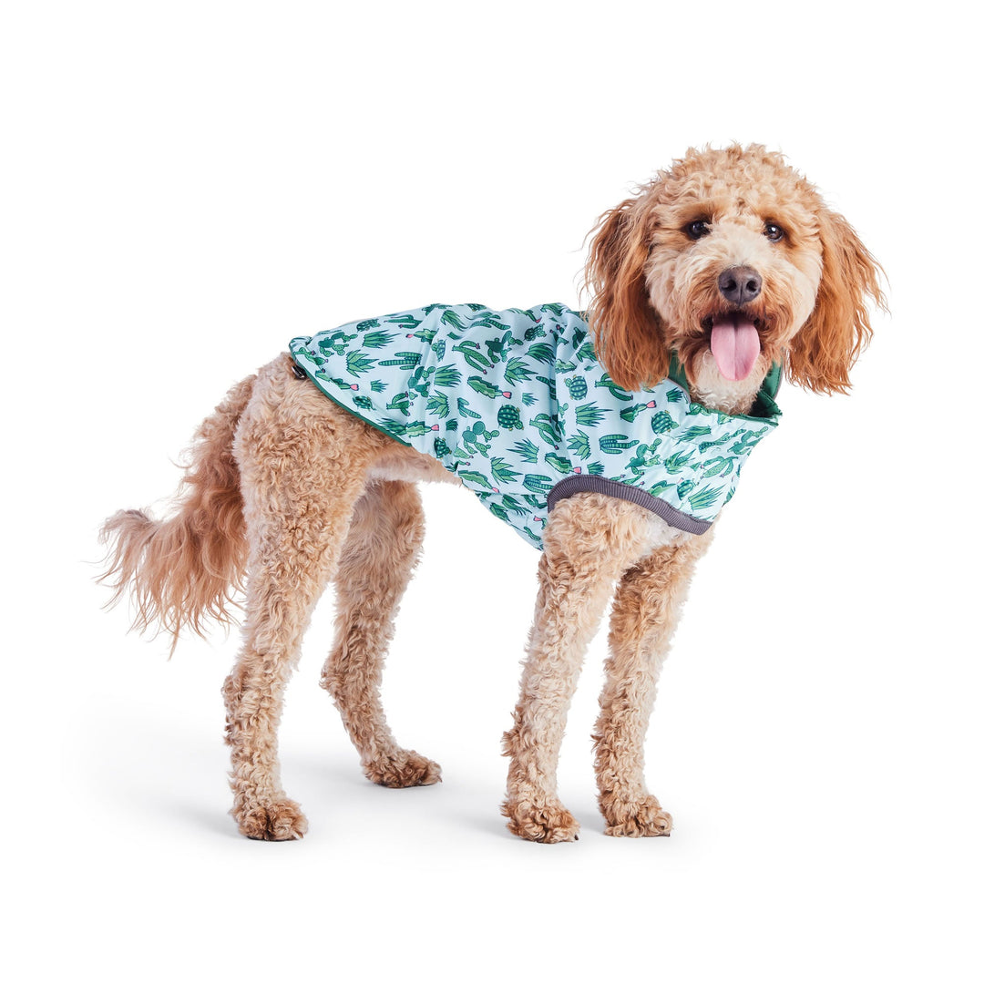 Reversible Elasto-Fit Raincoat - Green/Green by GF Pet