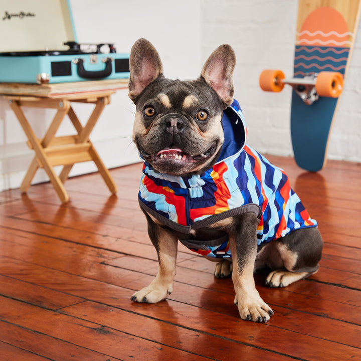 Reversible Elasto-Fit Raincoat - Navy/Navy by GF Pet