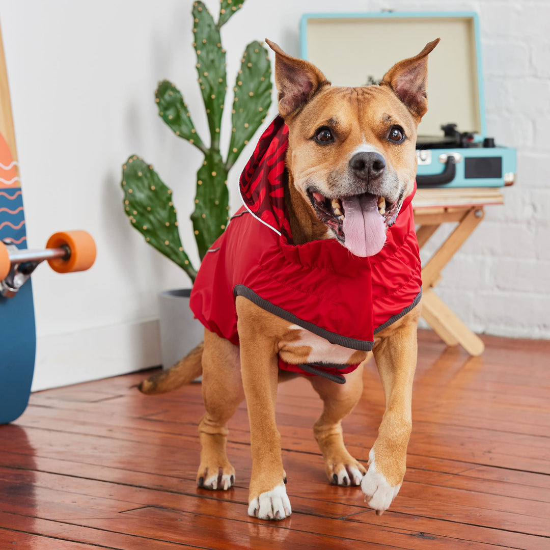 Reversible Elasto-Fit Raincoat - Red/Red by GF Pet