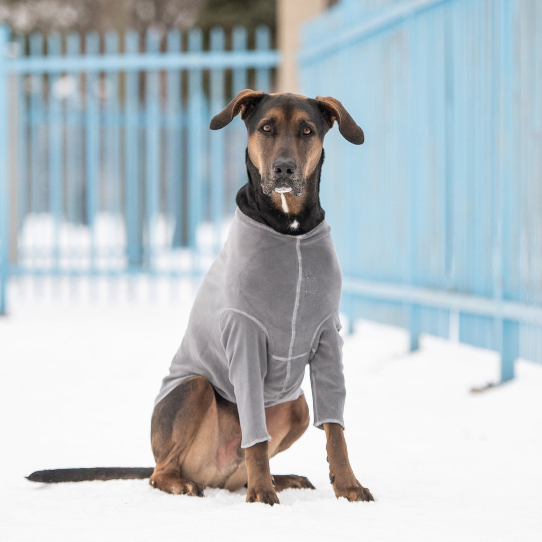 Gondola Base Layer - Charcoal by GF Pet