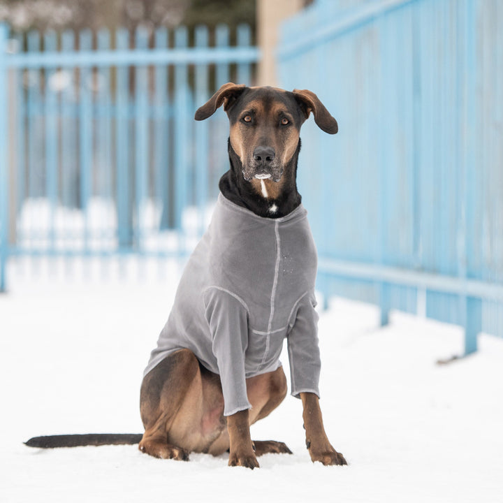Gondola Base Layer - Charcoal by GF Pet