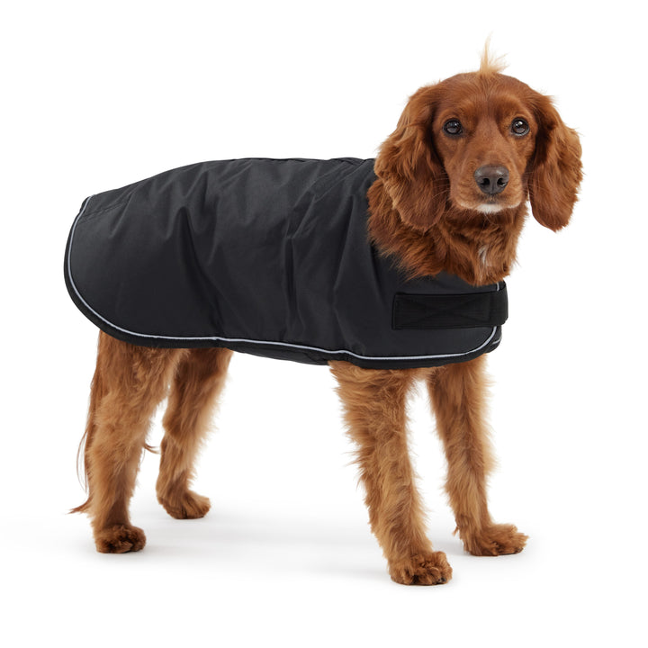 Blanket Jacket - Black by GF Pet
