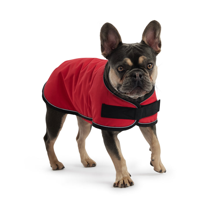 Blanket Jacket - Red by GF Pet