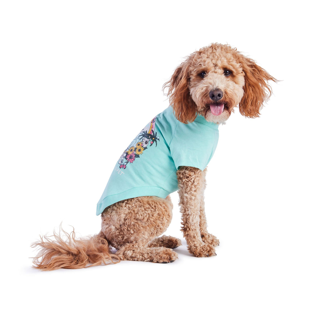 Graphic Tee - Aqua by GF Pet