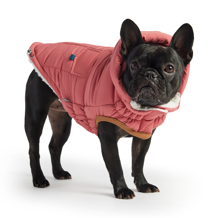The Puff Parka - Pink by GF Pet