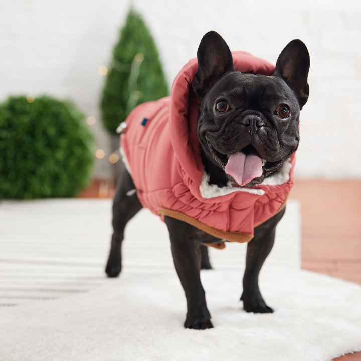The Puff Parka - Pink by GF Pet