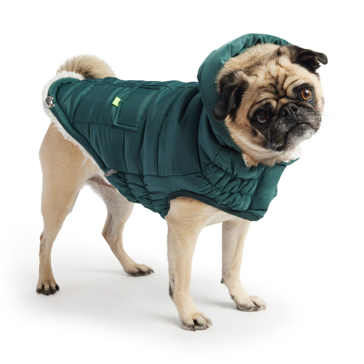 The Puff Parka - Teal by GF Pet