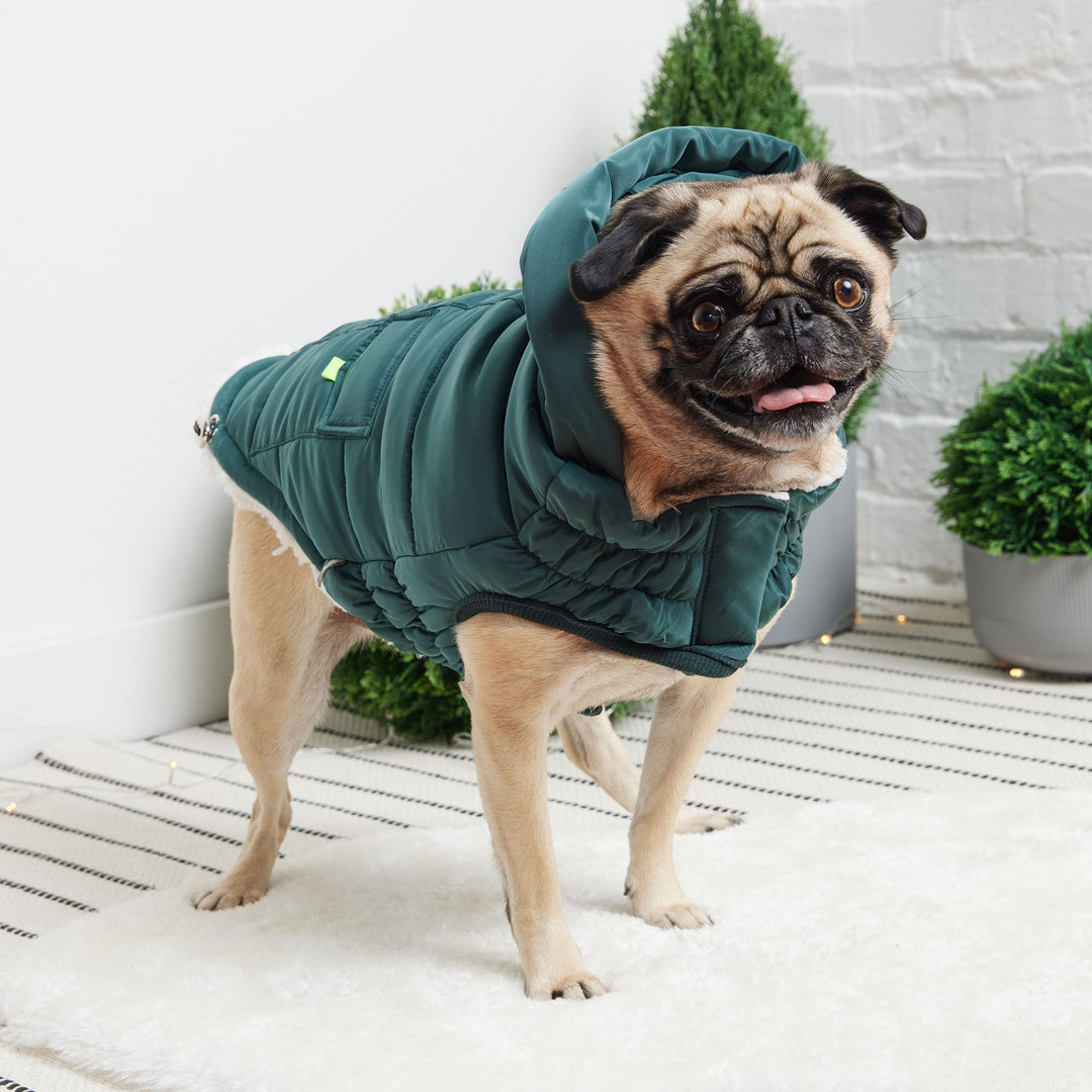 The Puff Parka - Teal by GF Pet