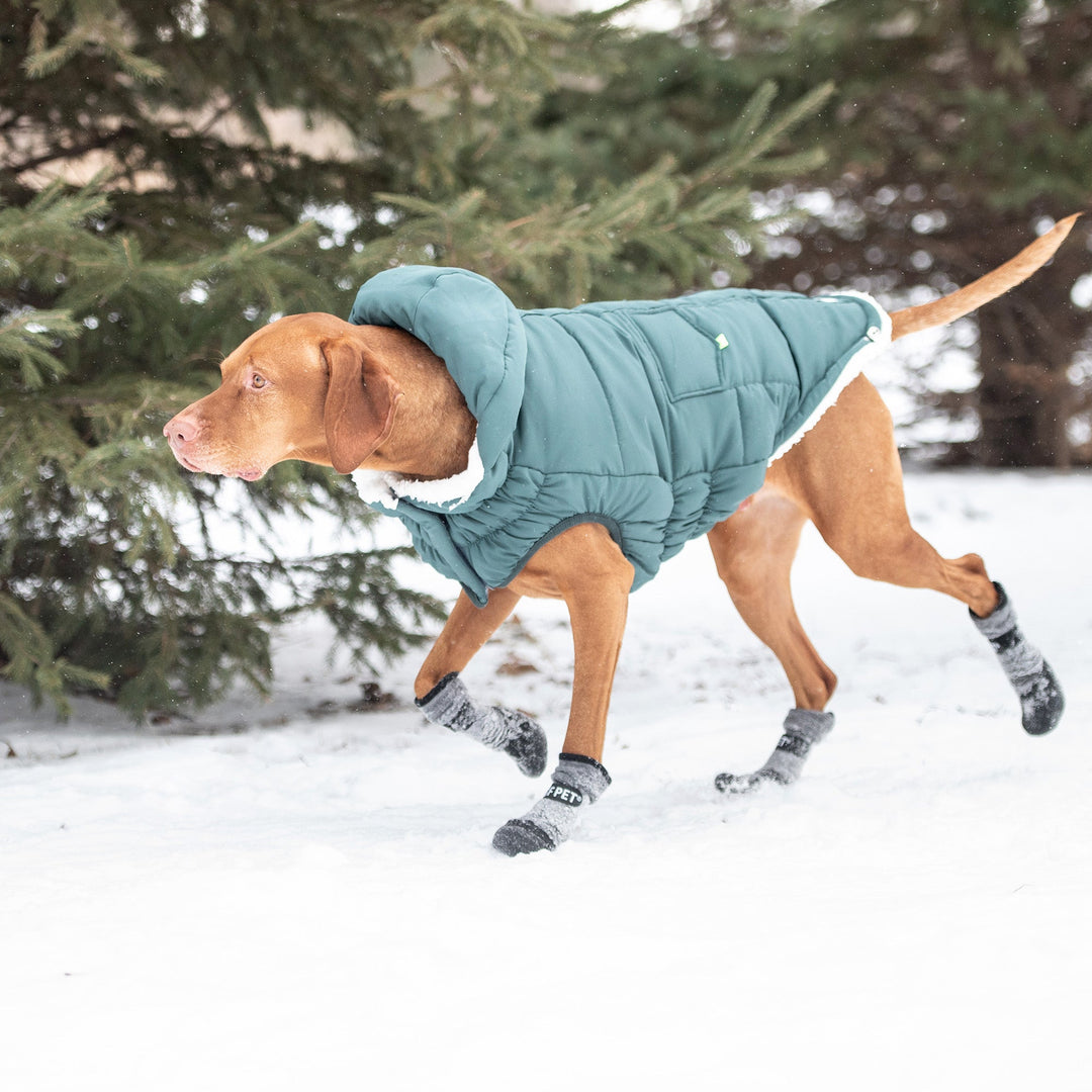 The Puff Parka - Teal by GF Pet