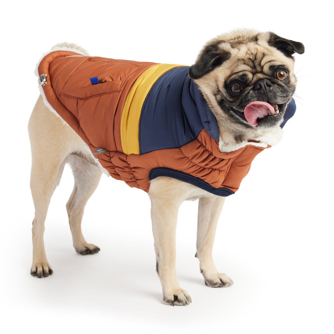Retro Puffer - Hazel by GF Pet