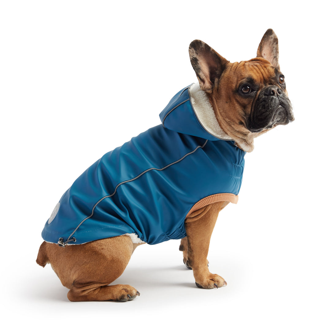 Insulated Raincoat - Dark Blue by GF Pet