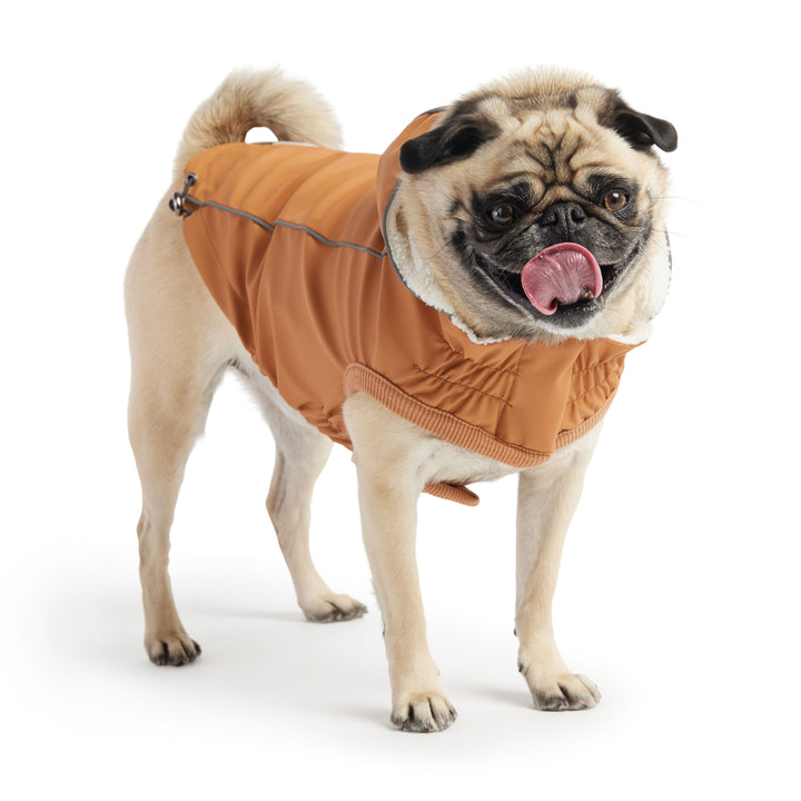Insulated Raincoat - Hazel by GF Pet