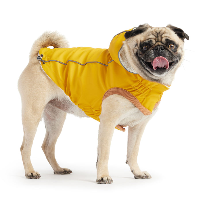 Insulated Raincoat - Yellow by GF Pet