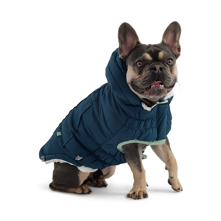 Arctic Parka - Teal by GF Pet