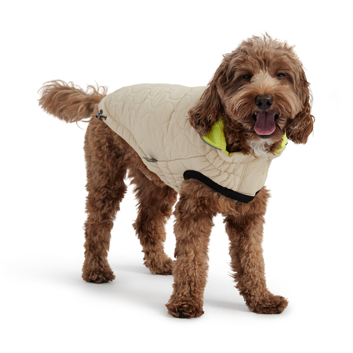Reversible Chalet Jacket - Sand/Yellow by GF Pet