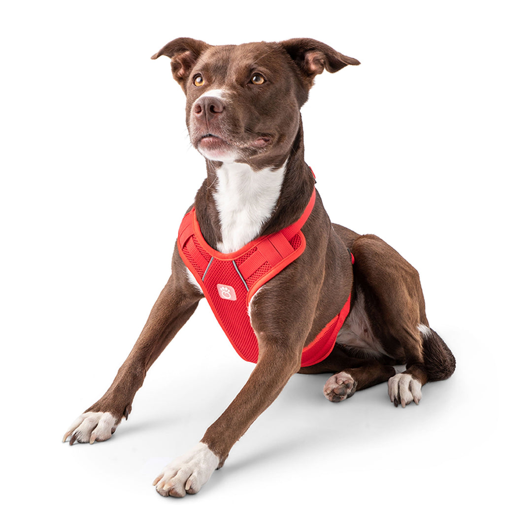 Travel Harness - Red by GF Pet