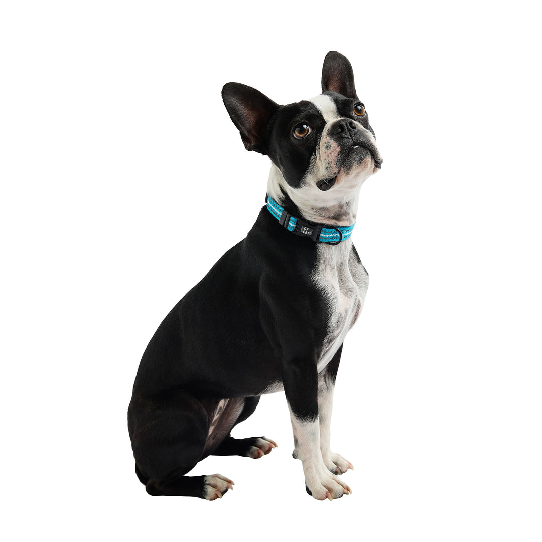Reflective Collar - Neon Blue by GF Pet