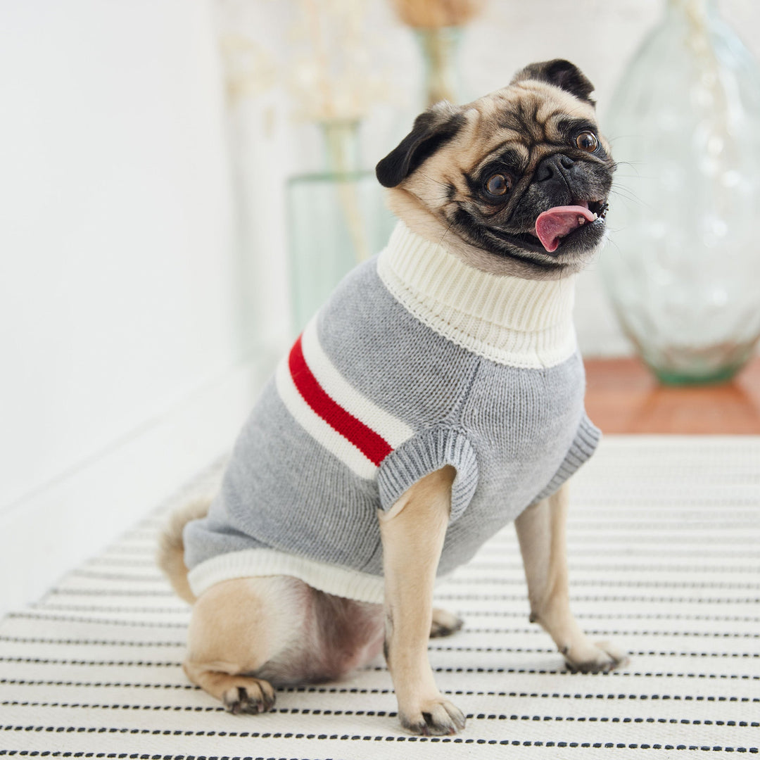 Trekking Sweater - Grey Mix by GF Pet