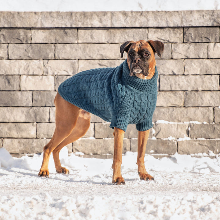 Chalet Sweater - Dark Teal by GF Pet