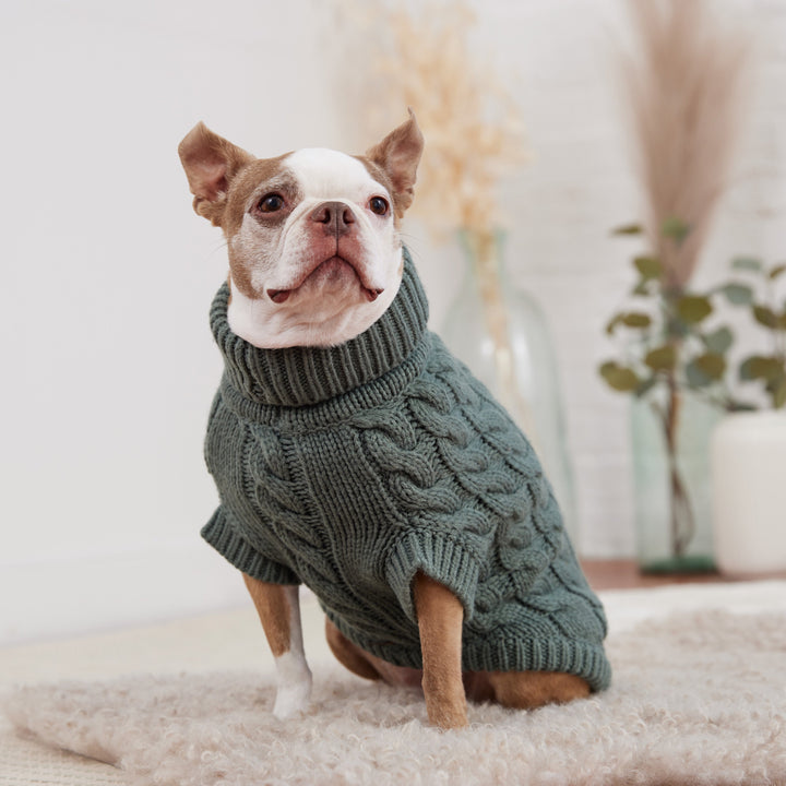 Chalet Sweater - Sage by GF Pet