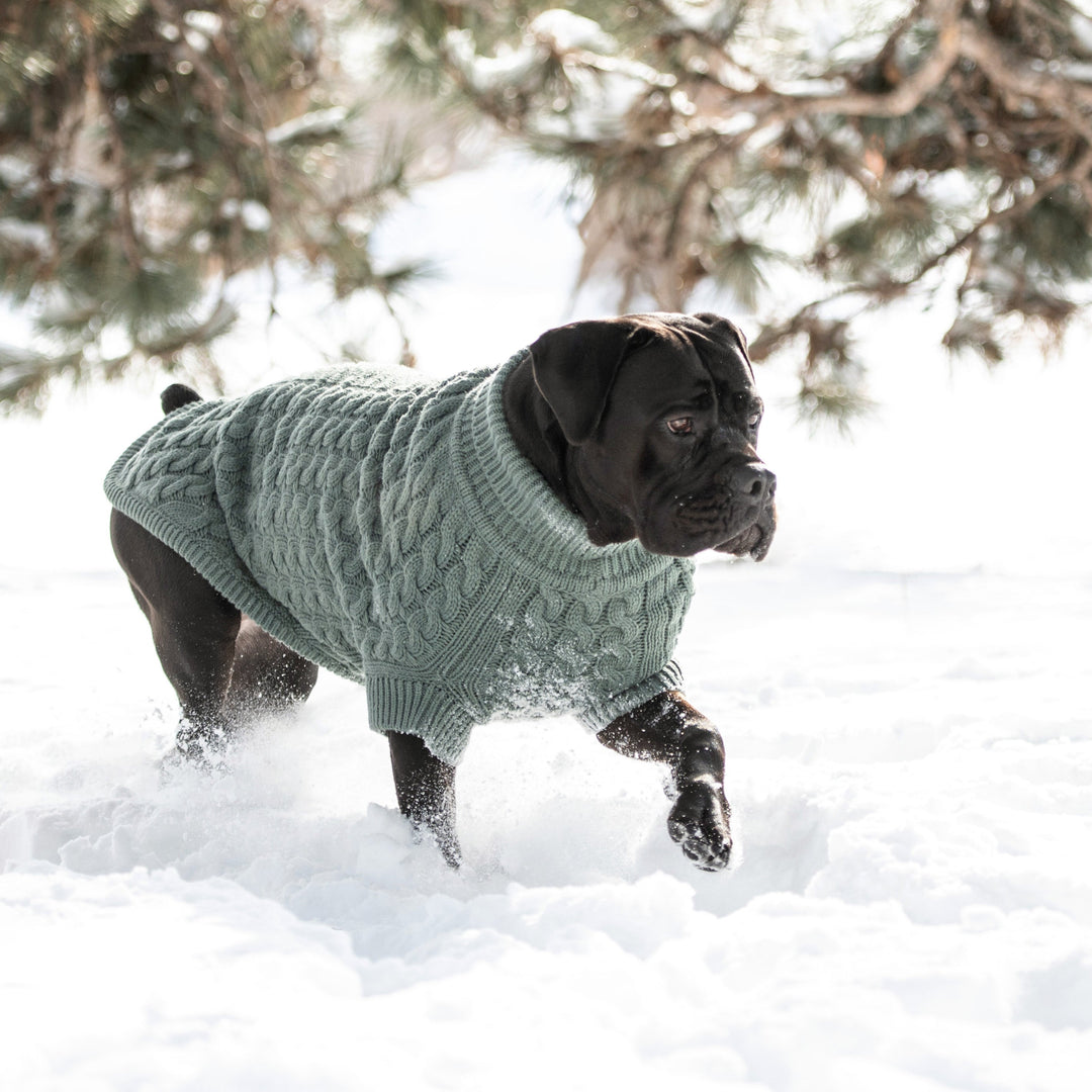 Chalet Sweater - Sage by GF Pet