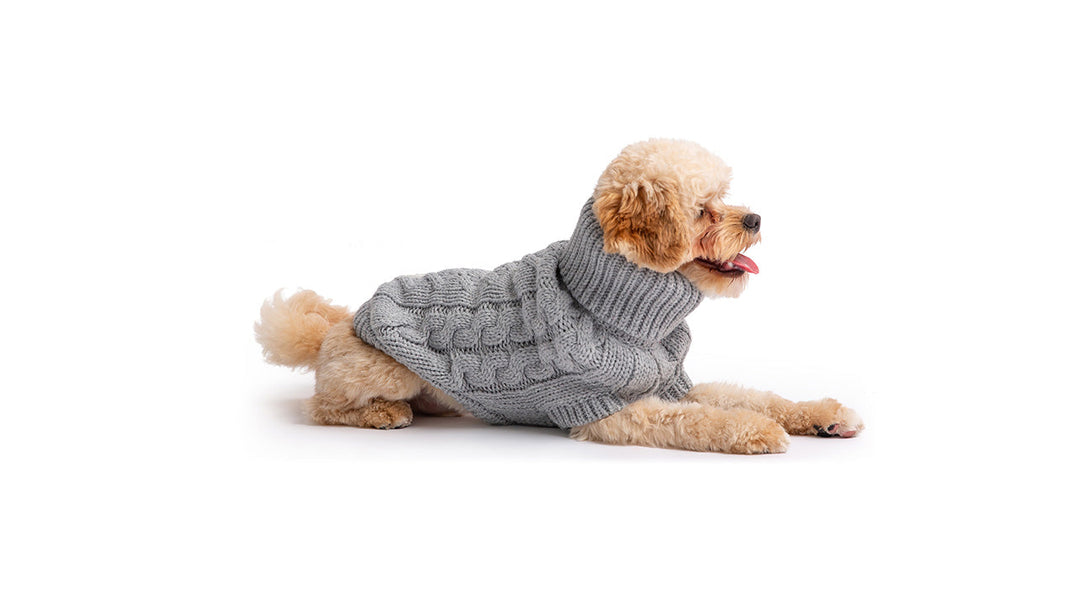 Chalet Sweater - Grey by GF Pet