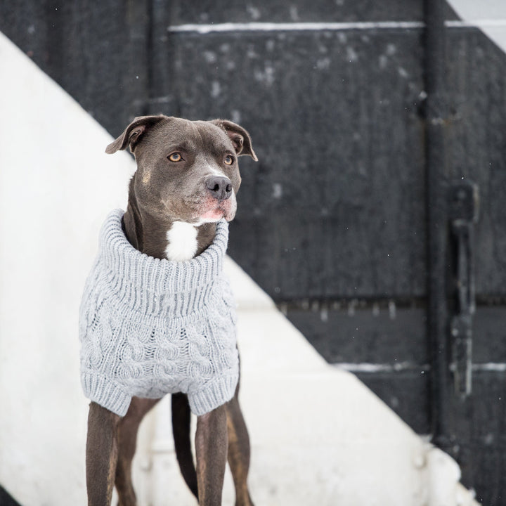 Chalet Sweater - Grey by GF Pet