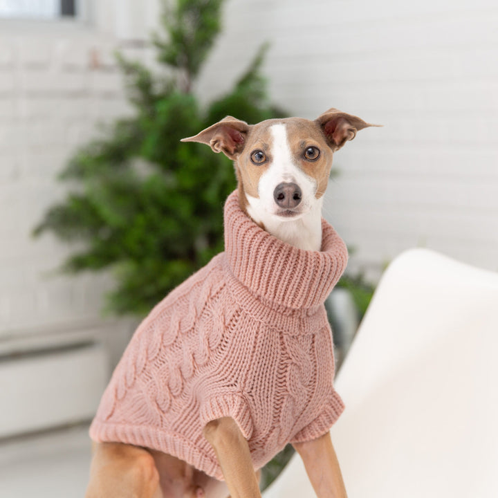 Chalet Sweater - Pink by GF Pet