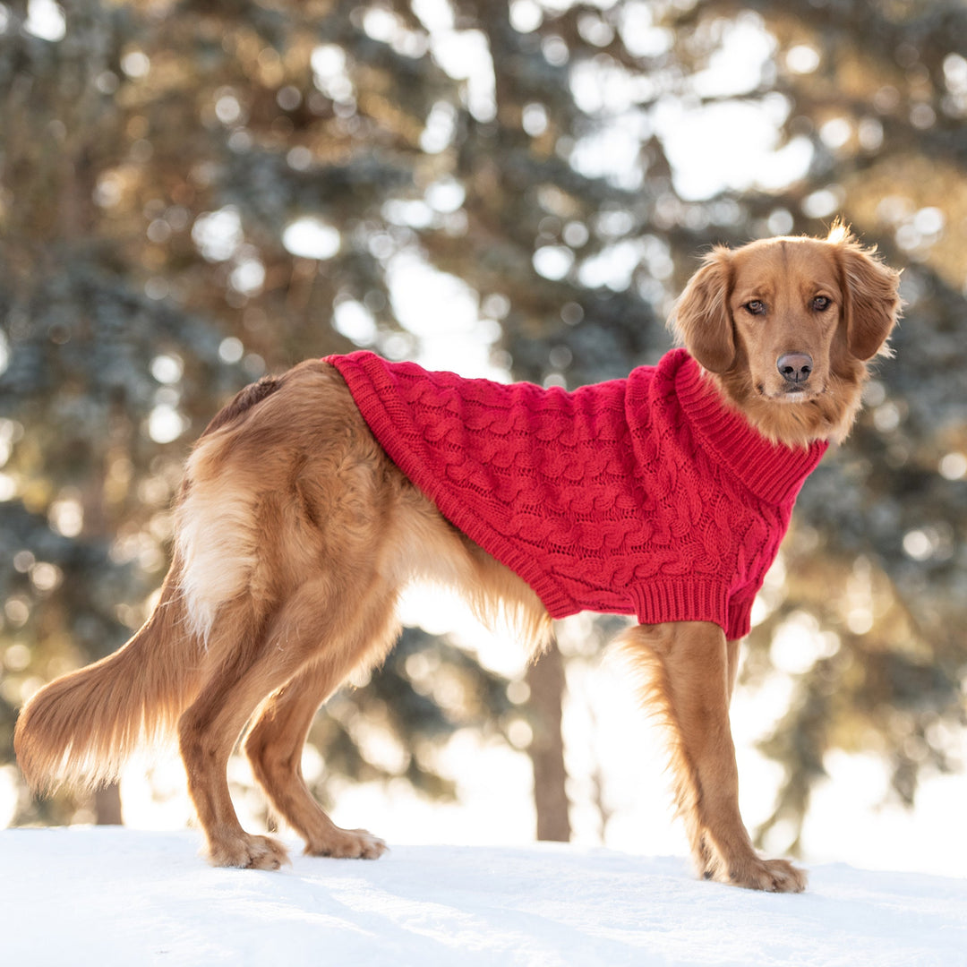 Chalet Sweater - Red by GF Pet