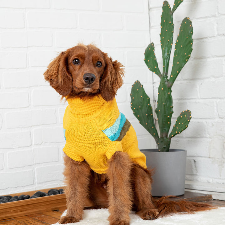 Alpine Sweater - Yellow by GF Pet