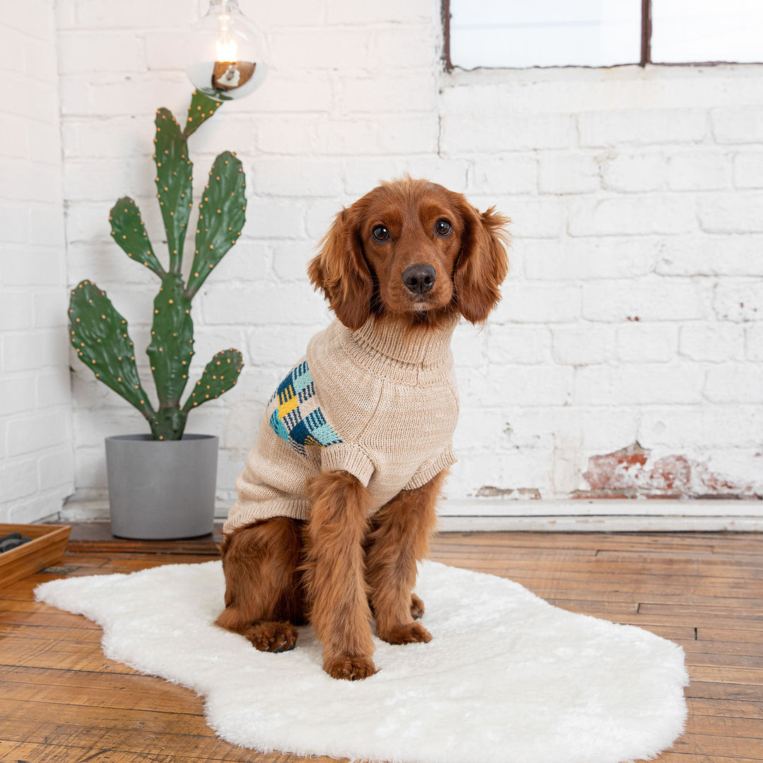 Winter Sailor Sweater - Oatmeal Mix by GF Pet