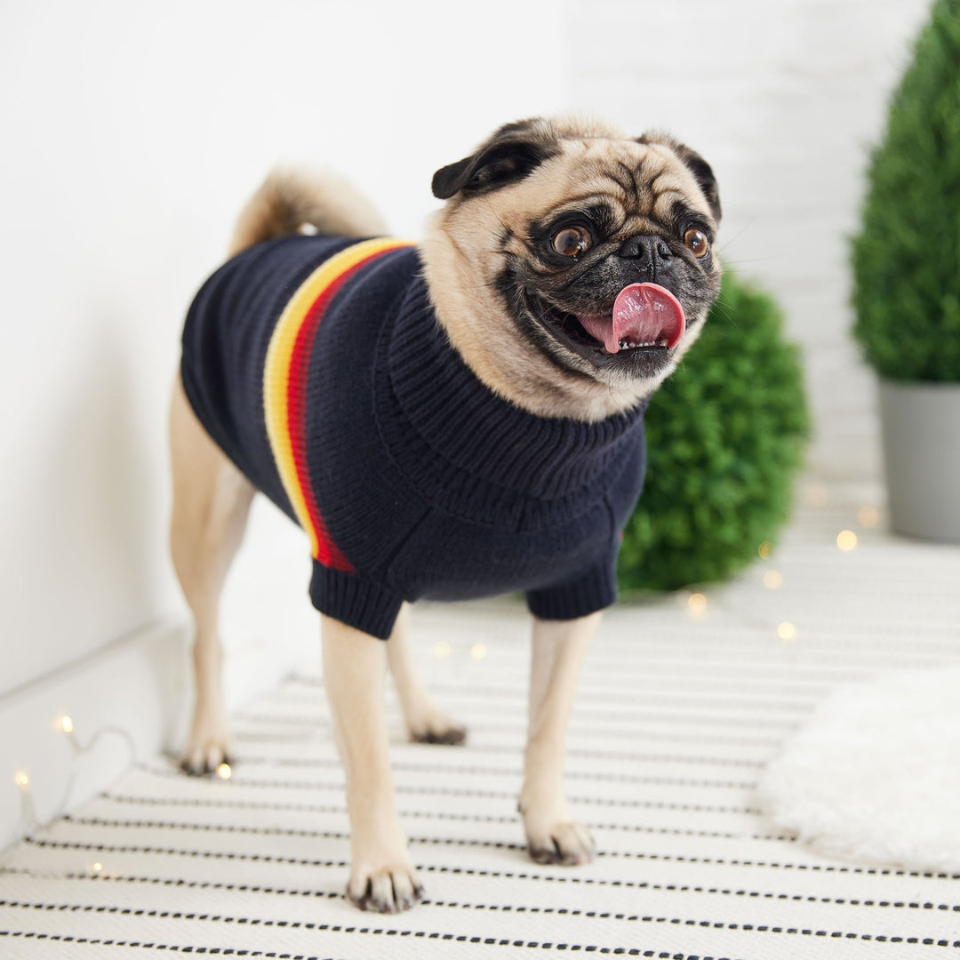 Retro Sweater - Navy by GF Pet