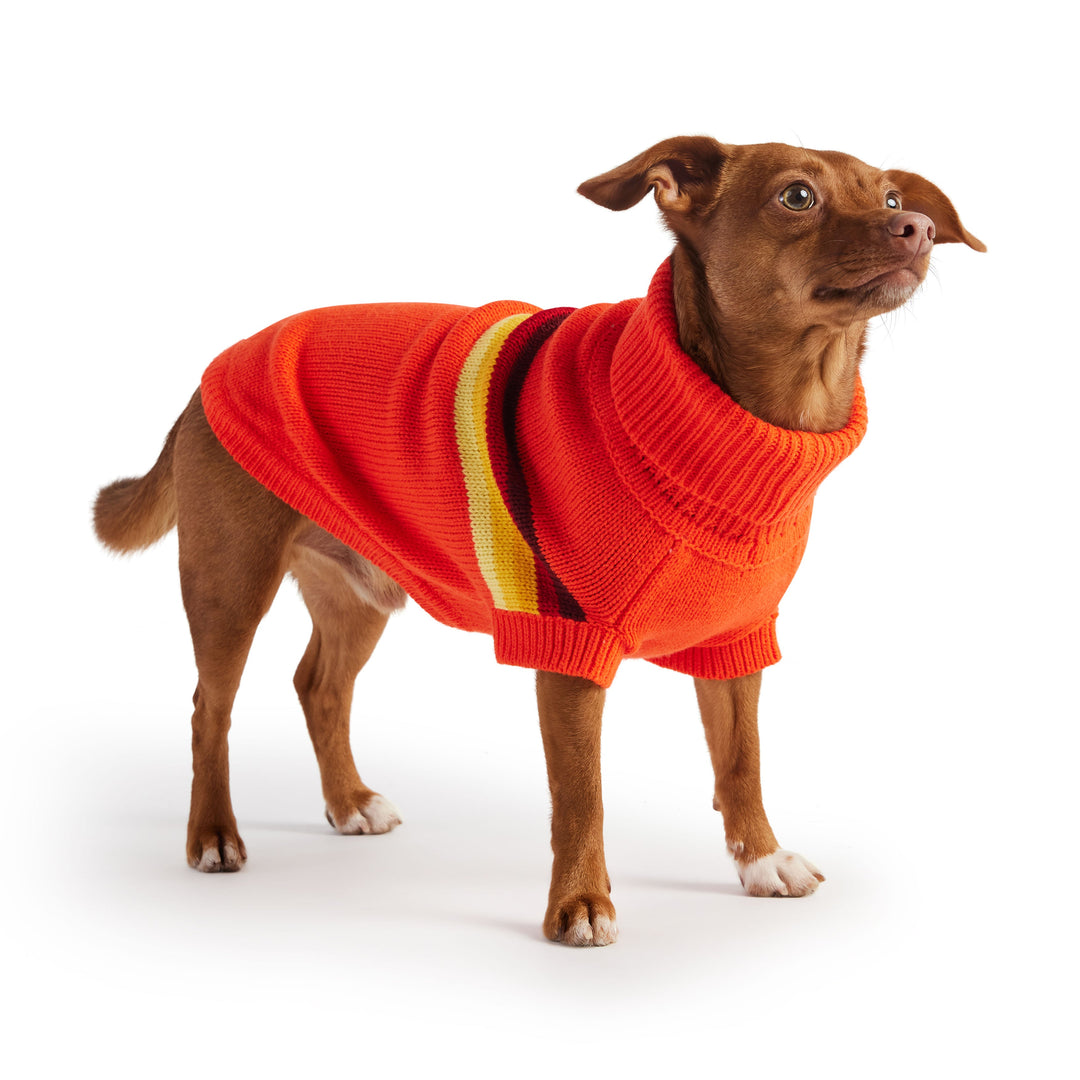 Retro Sweater - Orange by GF Pet