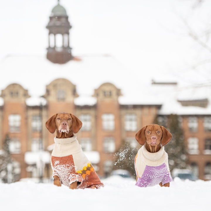 Fireside Sweater - Chili by GF Pet