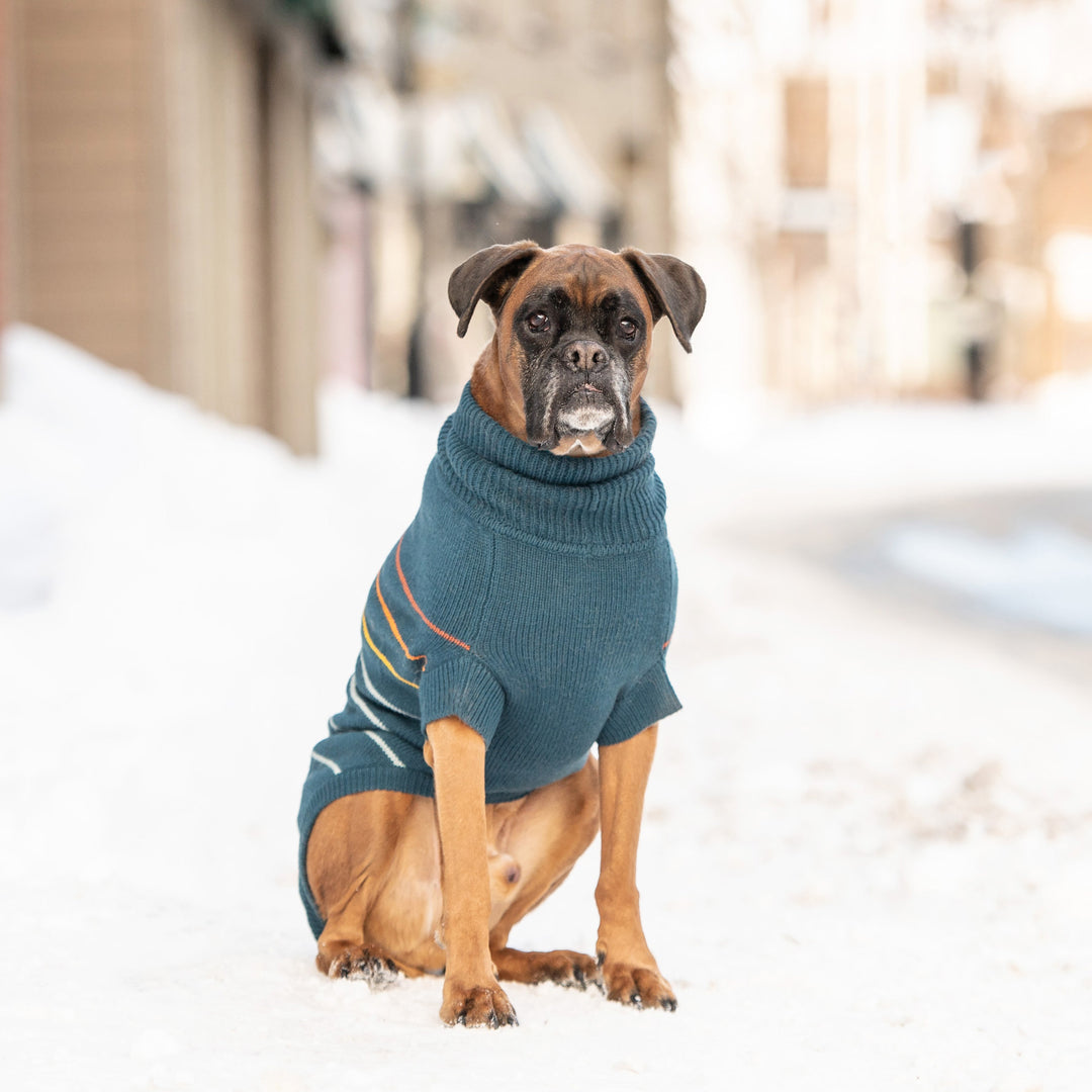 Arctic Sweater - Teal by GF Pet