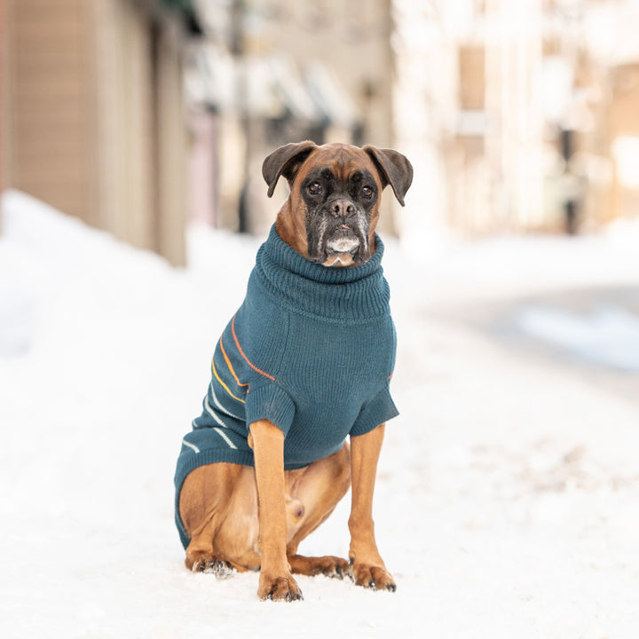 Arctic Sweater - Teal by GF Pet