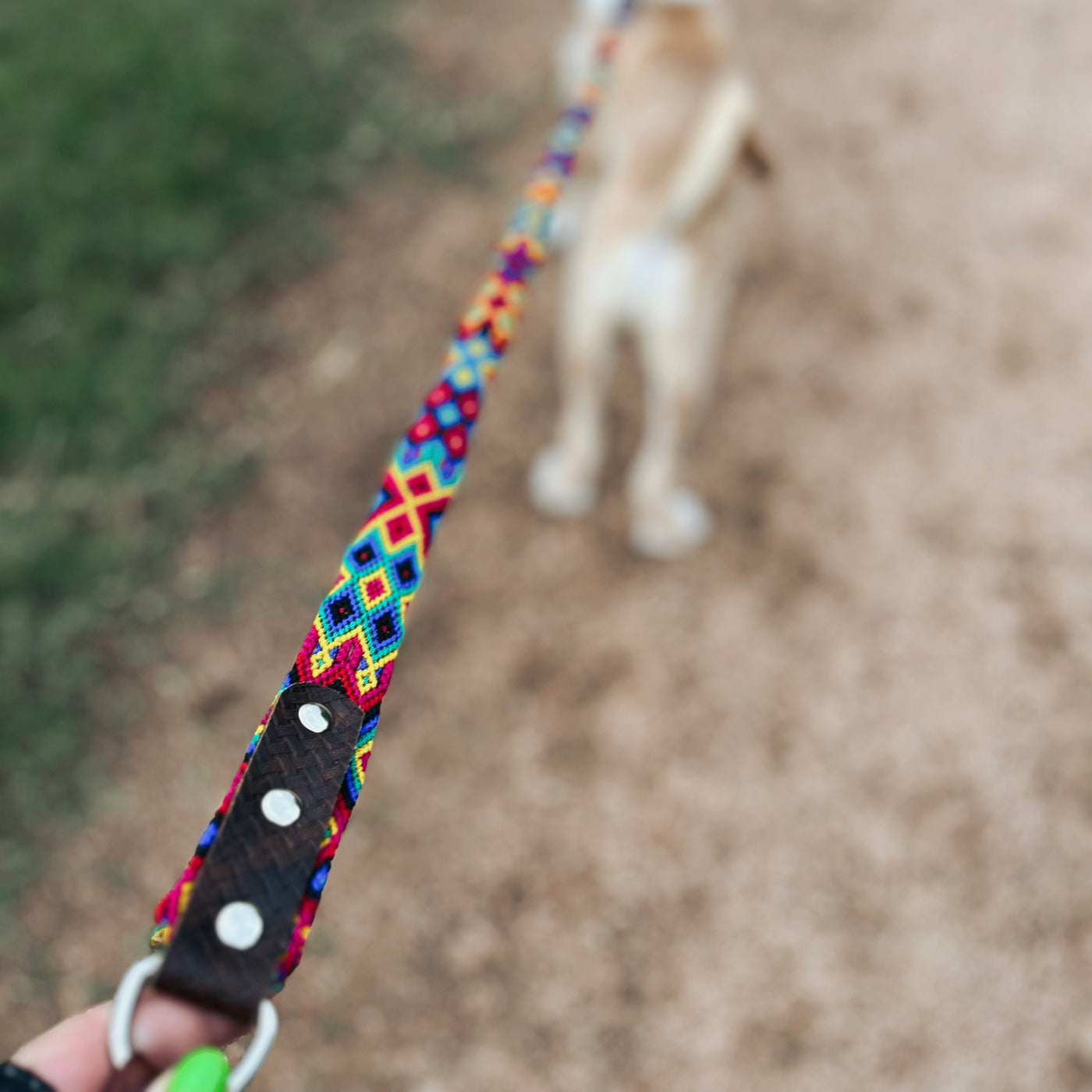 Taiyari Braided Dog Leash
