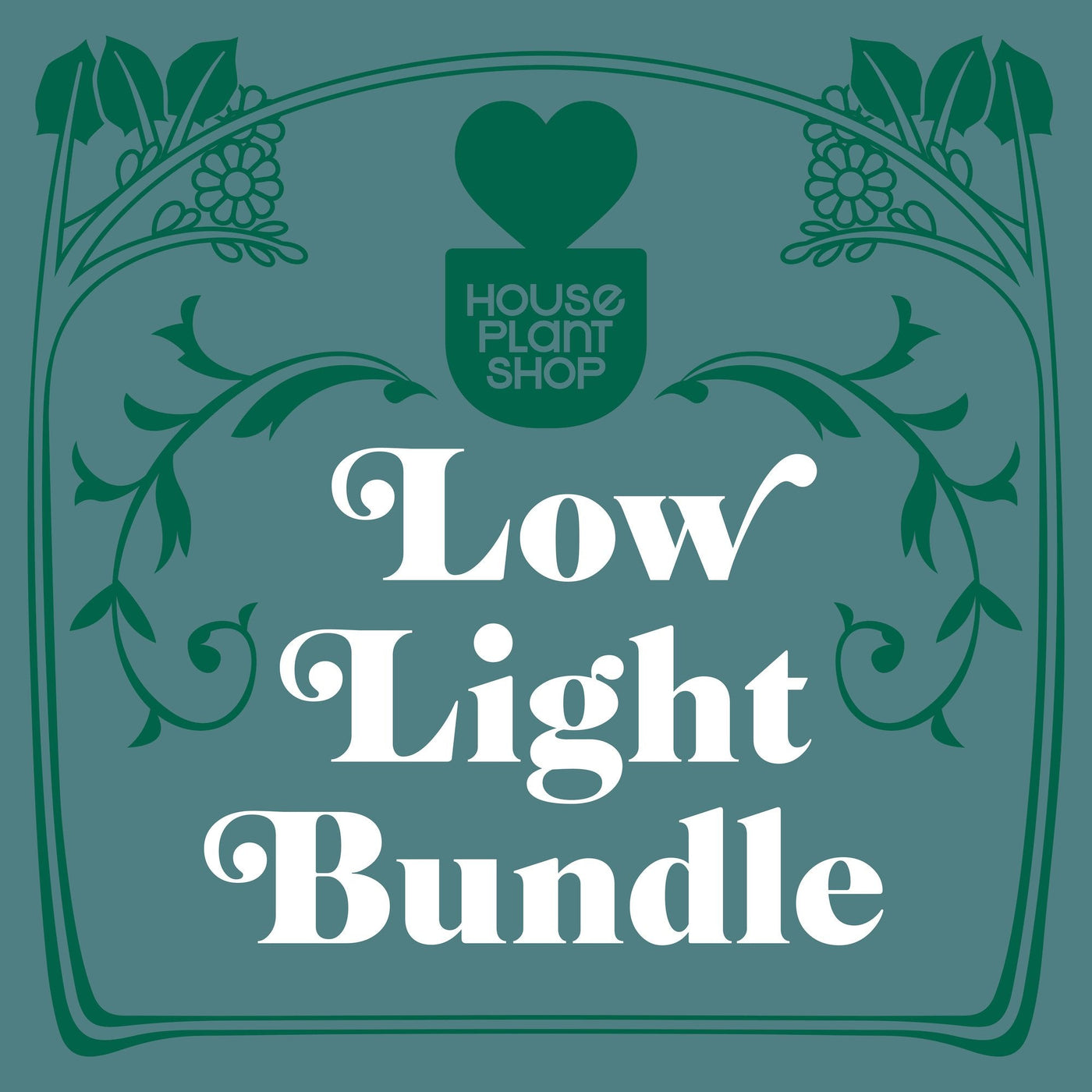 Low Light Bundle by House Plant Shop