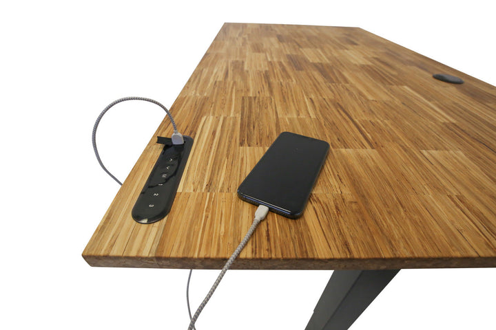 TerraDesk | Eco-Friendly Height-Adjustable Electric Standing Desk by EFFYDESK