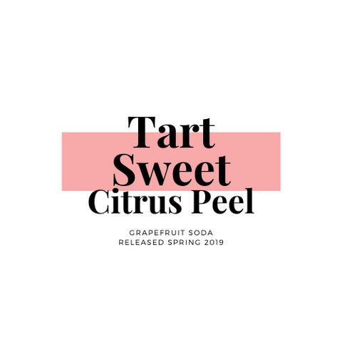 92 Points - Sparkling Grapefruit Soda by Top Note Tonic Store