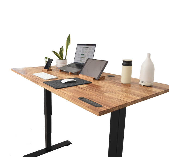 Business Office Standing Desk by EFFYDESK