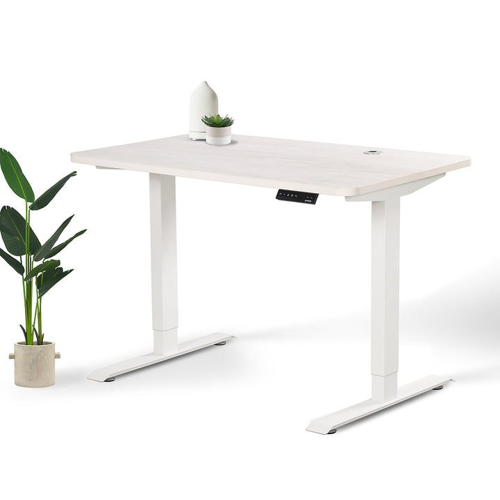 Home Office Standing Desk by EFFYDESK